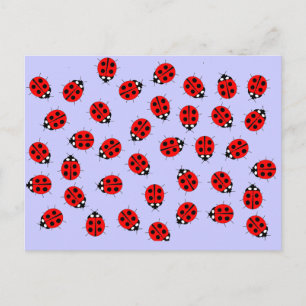 Lady Bugs Items Postcard