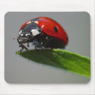 Lady But On Edge Of Leaf Mouse Mat