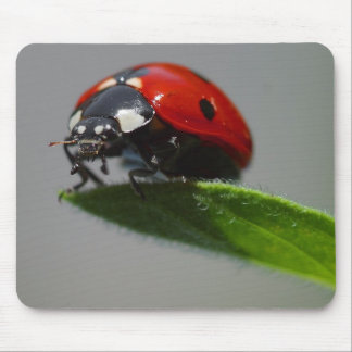 Lady But On Edge Of Leaf Mouse Mat