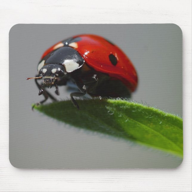 Lady But On Edge Of Leaf Mouse Mat (Front)