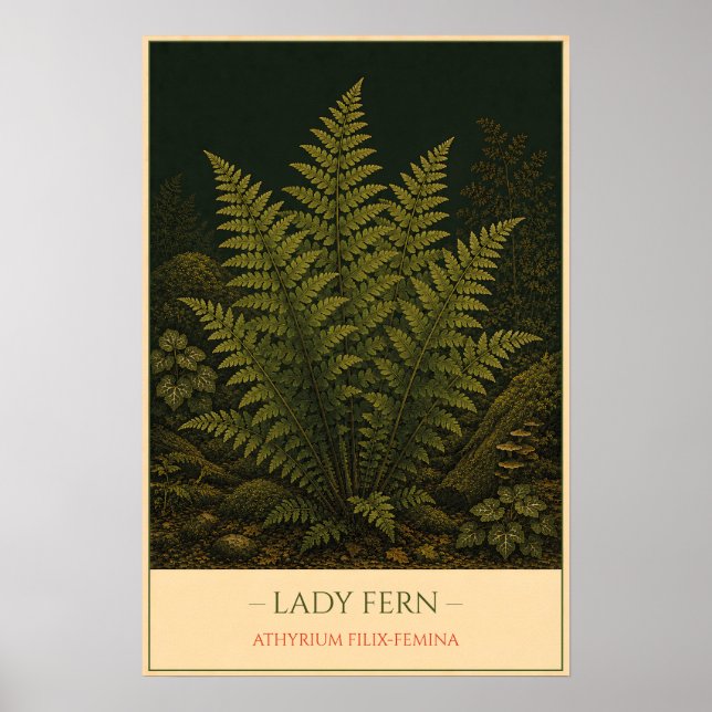 Lady Fern – Antique Botanical Illustration Poster (Front)