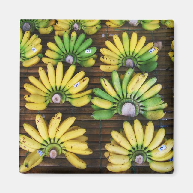 Lady Finger Bananas ~ Egg Banana (กล้วยไข่) Magnet (Front)