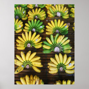 Lady Finger Bananas ~ Egg Banana (กล้วยไข่) Poster