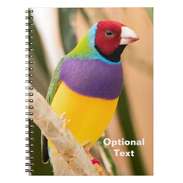 Lady Gouldian Finch Notebook (Front)