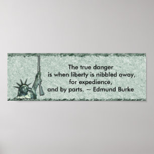 LADY LIBERTY - BUMPER STICKER - EDMUND BURKE QUOTE POSTER