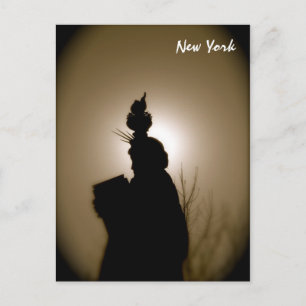 Lady Liberty in All Her Glory Postcard