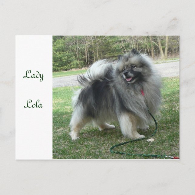 Lady Lola Postcard (Front)