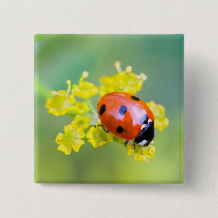 lady on top 15 cm square badge