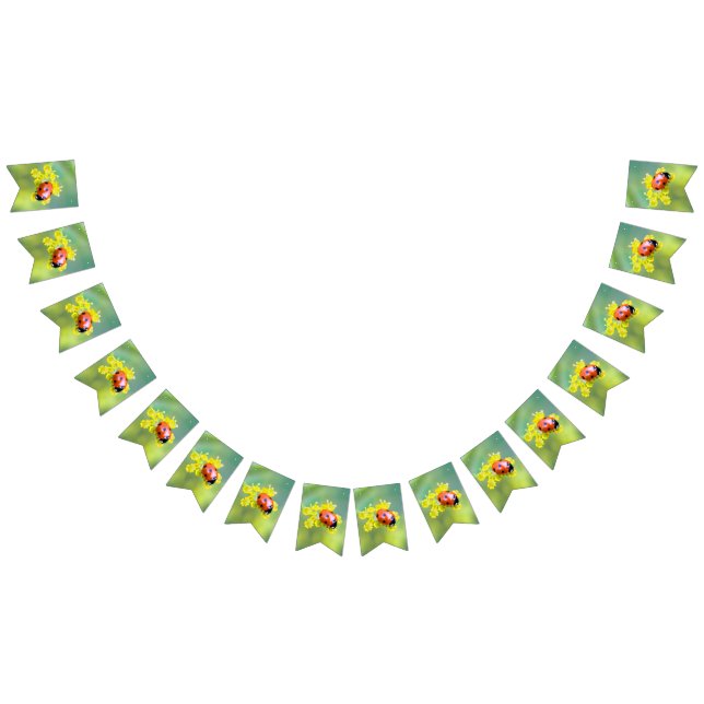 lady on top bunting  (All)