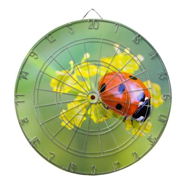 lady on top dartboard (Front)