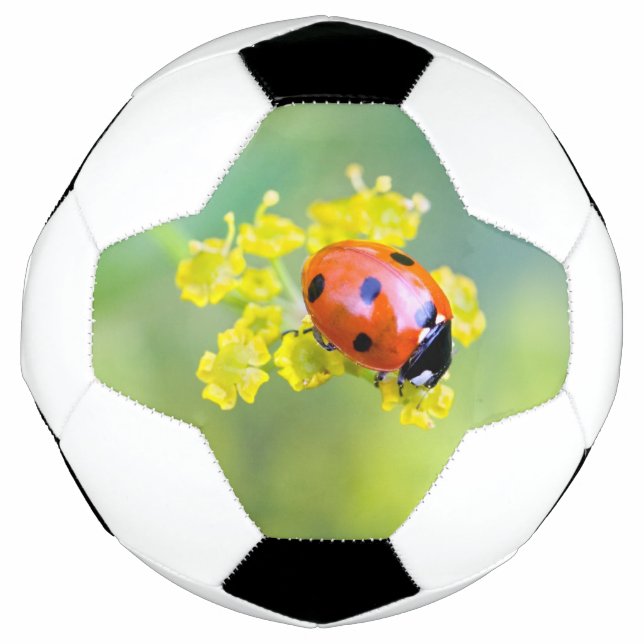 lady on top football (Front)