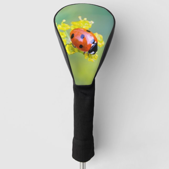 lady on top golf head cover (Front)