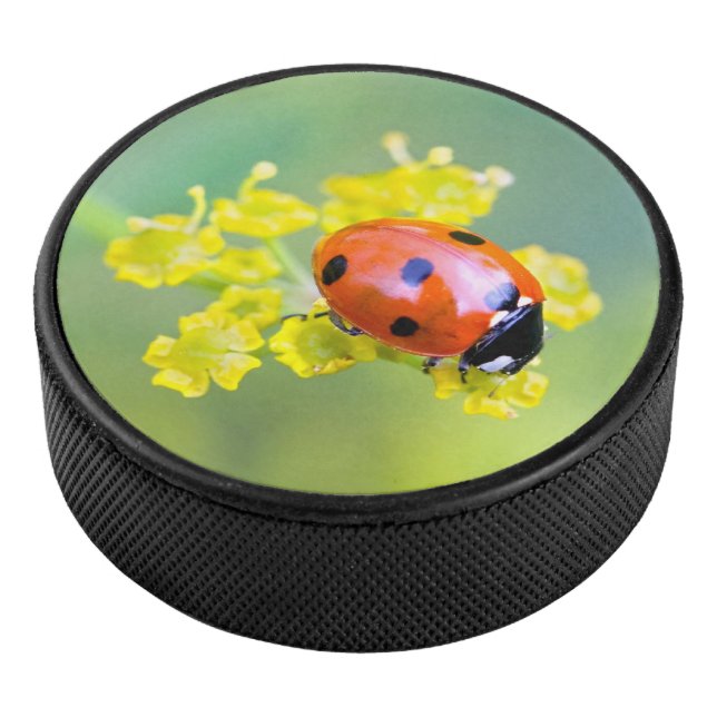 lady on top hockey puck (3/4)