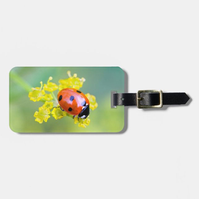 lady on top luggage tag (Front Horizontal)