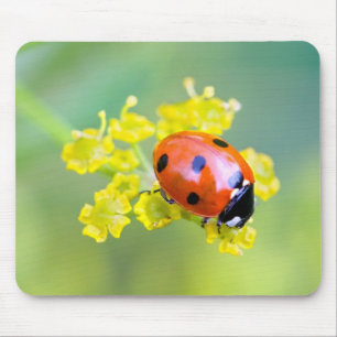 lady on top mouse mat