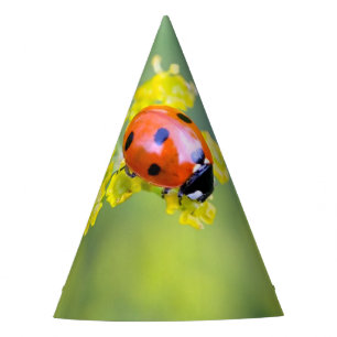 lady on top party hat