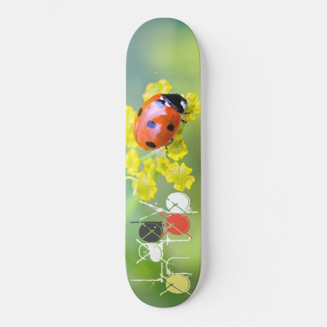 lady on top skateboard (Front)