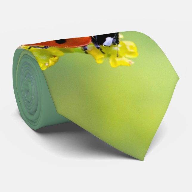 lady on top tie (Rolled)