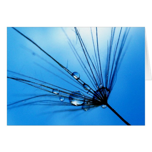 Lady Sings The Blues Card (Front Horizontal)