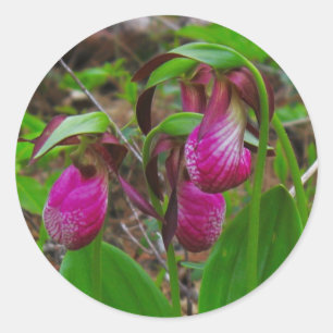 Lady Slipper Classic Round Sticker