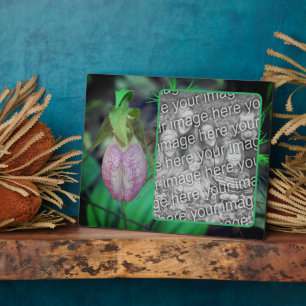 Lady Slipper Orchid Create Your Own Photo Plaque