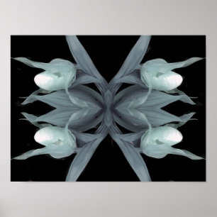 Lady slipper orchid - Print