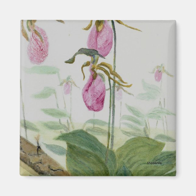 Lady Slippers Magnet (Front)
