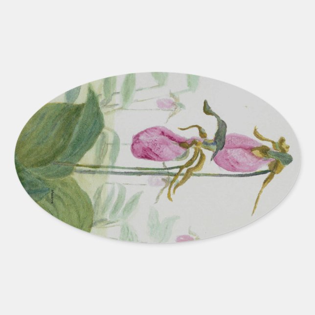 Lady Slippers Oval Sticker (Front)