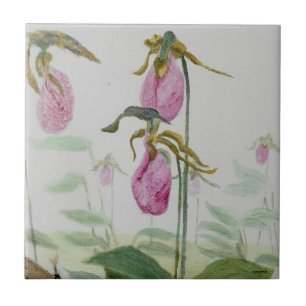 Lady Slippers Tile