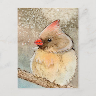 Lady Winter Cardinal Postcard