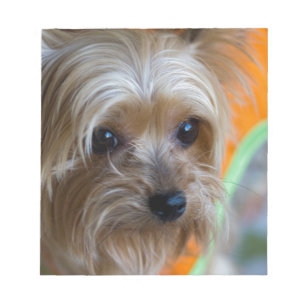 Lady Yorkshire Terrier Puppy Notepad