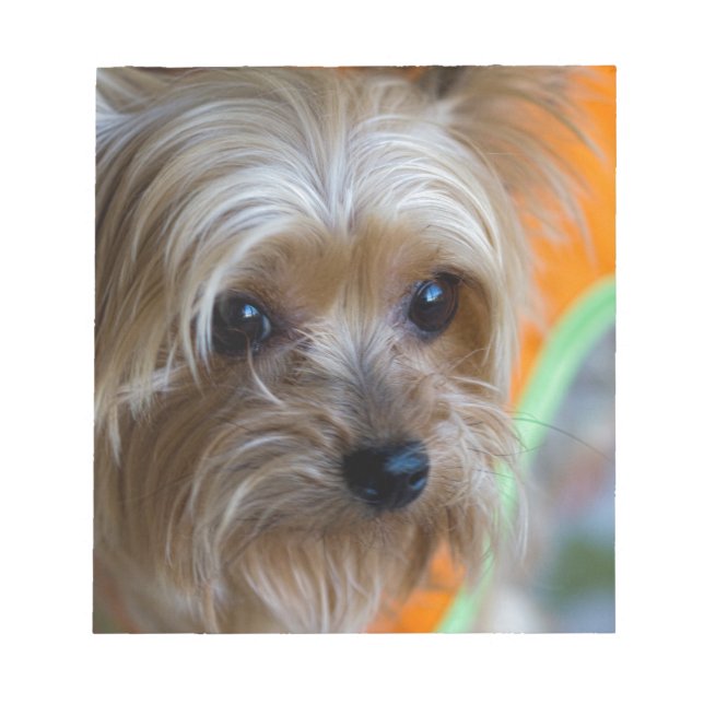 Lady Yorkshire Terrier Puppy Notepad (Front)