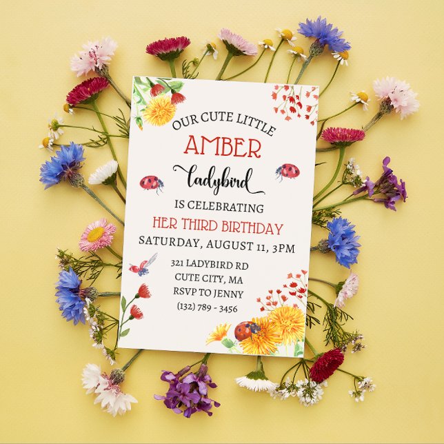Ladybird Baby Girl Cute Spring Summer Birthday Invitation (Creator Uploaded)
