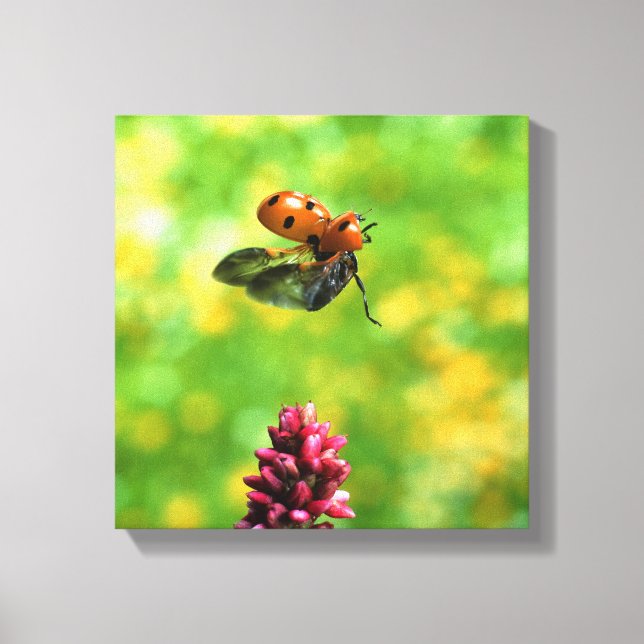 ladybird canvas print (Front)