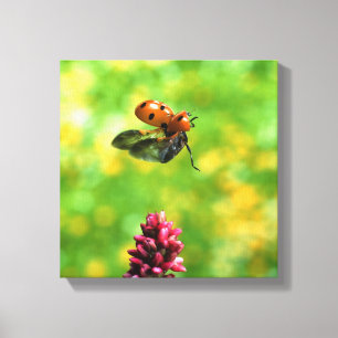 ladybird canvas print