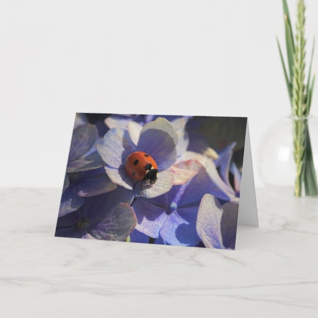 Ladybird Card (Front)