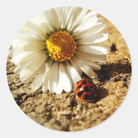 Ladybird flower classic round sticker