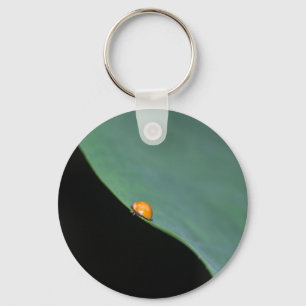 Ladybird Key Ring