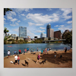 Ladybird Lake Dog Park Austin Texas Skyline Poster