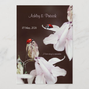 Ladybird Love Wedding Invitation