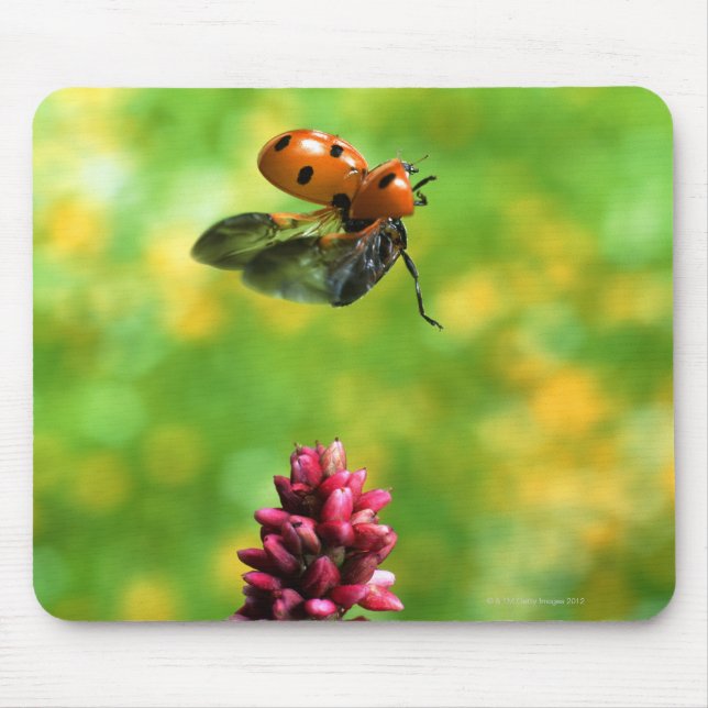 ladybird mouse mat (Front)