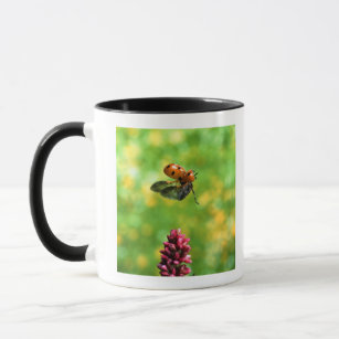ladybird mug