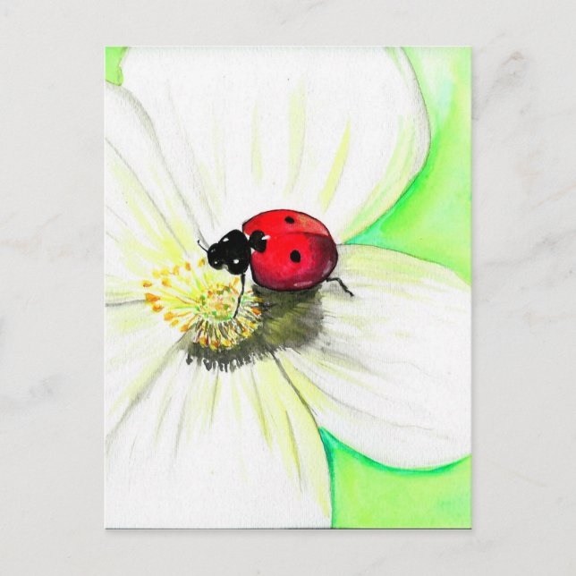 Ladybird on a White Flower Painting Postcard (Front)