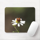 Ladybird on Chamomile Flower Mouse Mat (With Mouse)