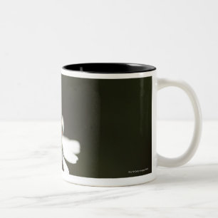 Ladybird on Chamomile Flower Two-Tone Coffee Mug