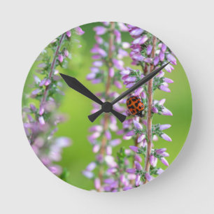Ladybird on purple flower - round clock