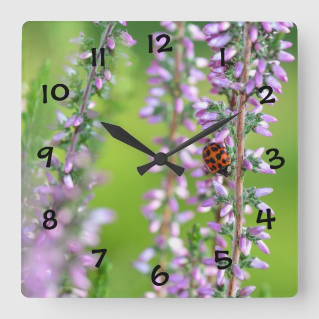 Ladybird  on purple flowers  square wall clock (Front)