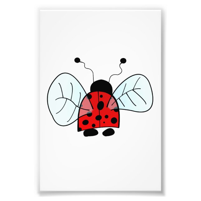 Ladybird Photo Print (Front)