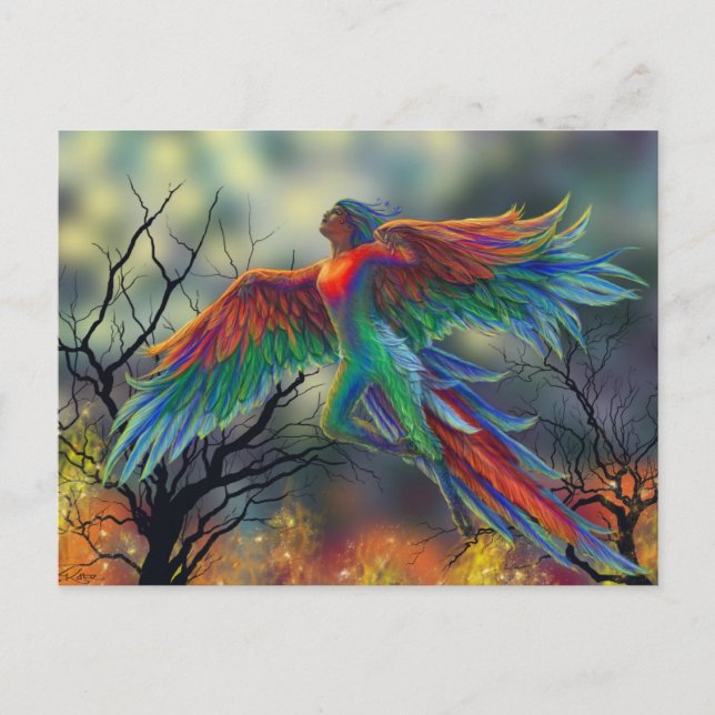 Ladybird Postcard (Front)