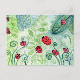 Ladybird Postcard